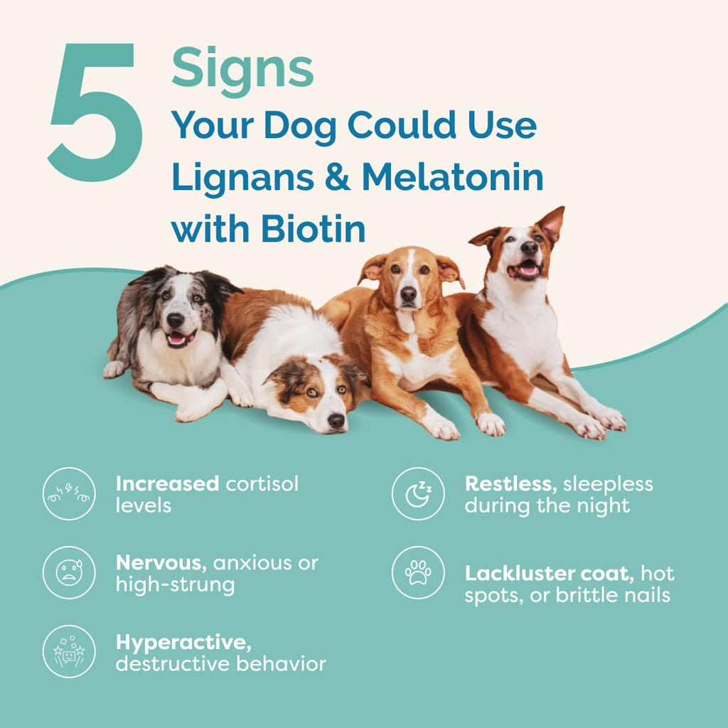 Lignans & Melatonin with Biotin Blend for Dogs Over 25 lb Z1600