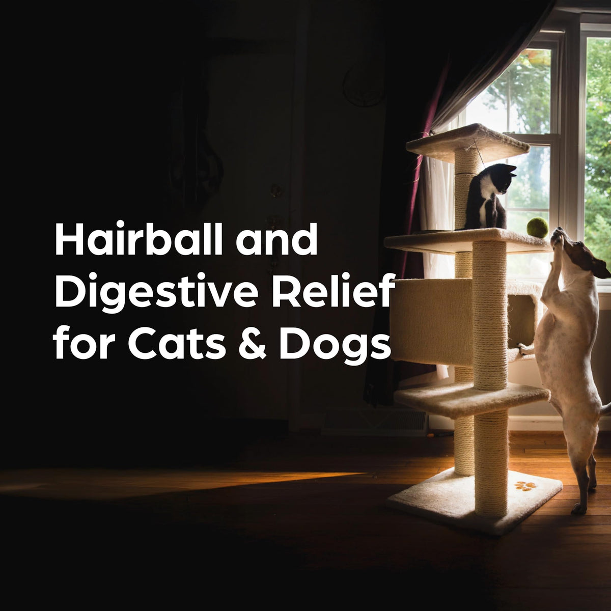 Laxative and Lubricant for Dogs and Cats 3 oz L9864