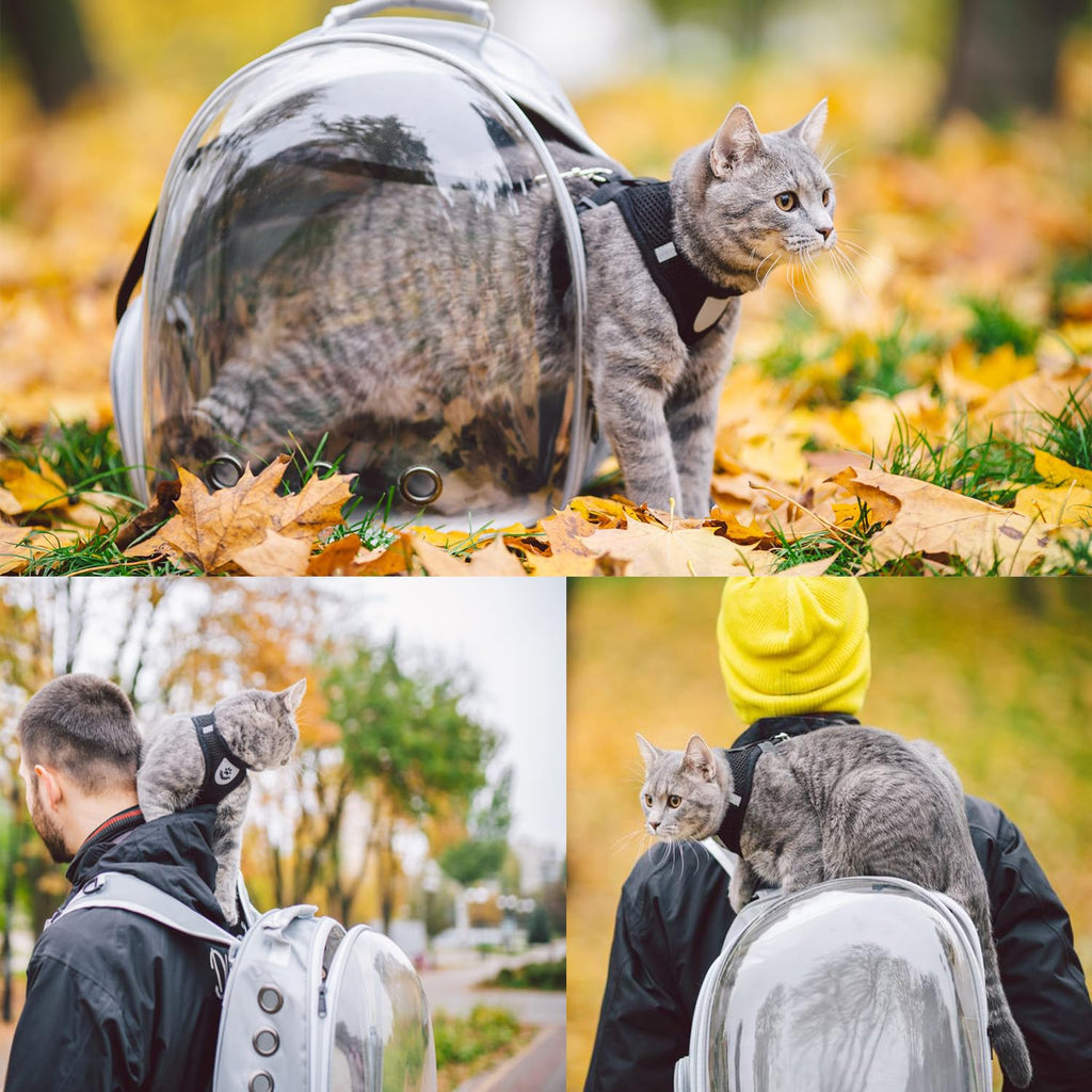 Grey Ventilated Cat Backpack Carrier X6488