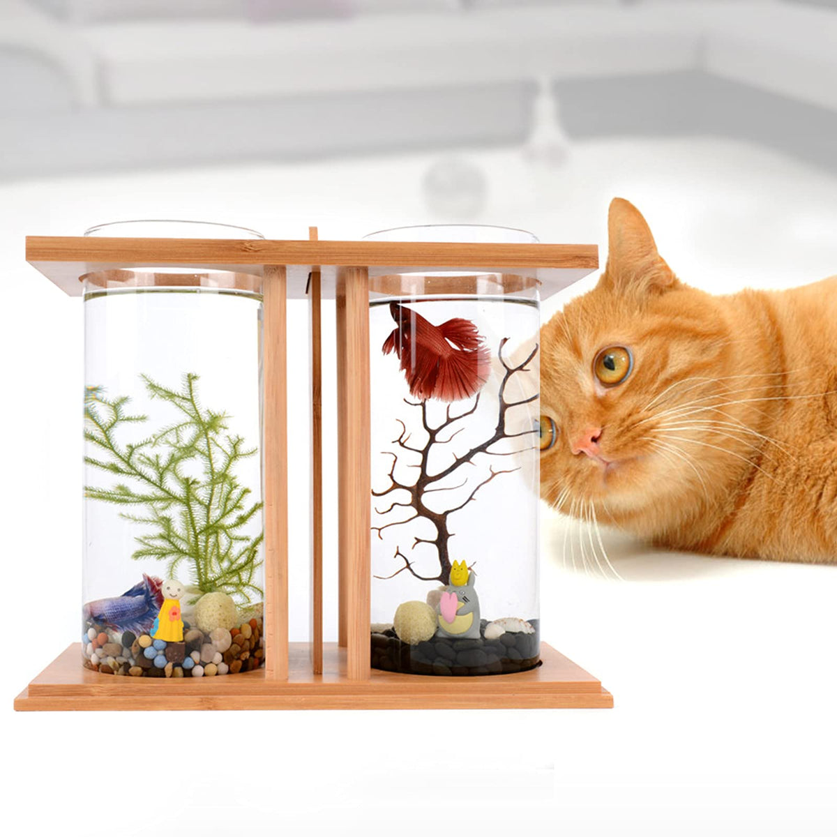 Bamboo Desktop Aquarium with LED Light Z1751