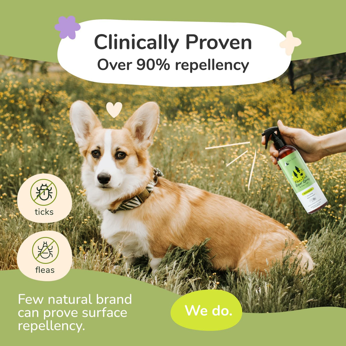 Lemongrass Flea & Tick Repel Coat Spray for Dogs & Cats 12 fl oz J9034