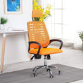 Ergonomic High Back Mesh Office Chair with Headrest Lumbar Support M76313