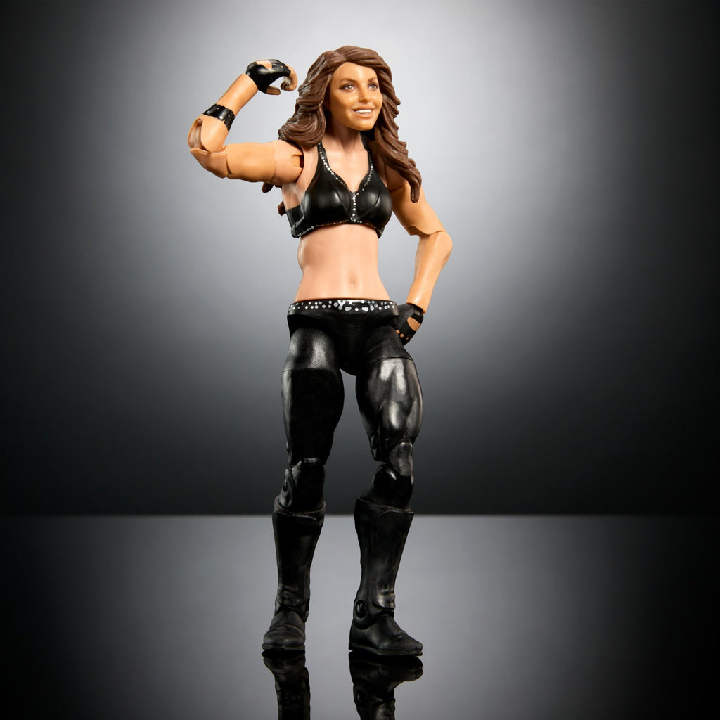 WrestleMania Action Figure Set with Accessory E8652