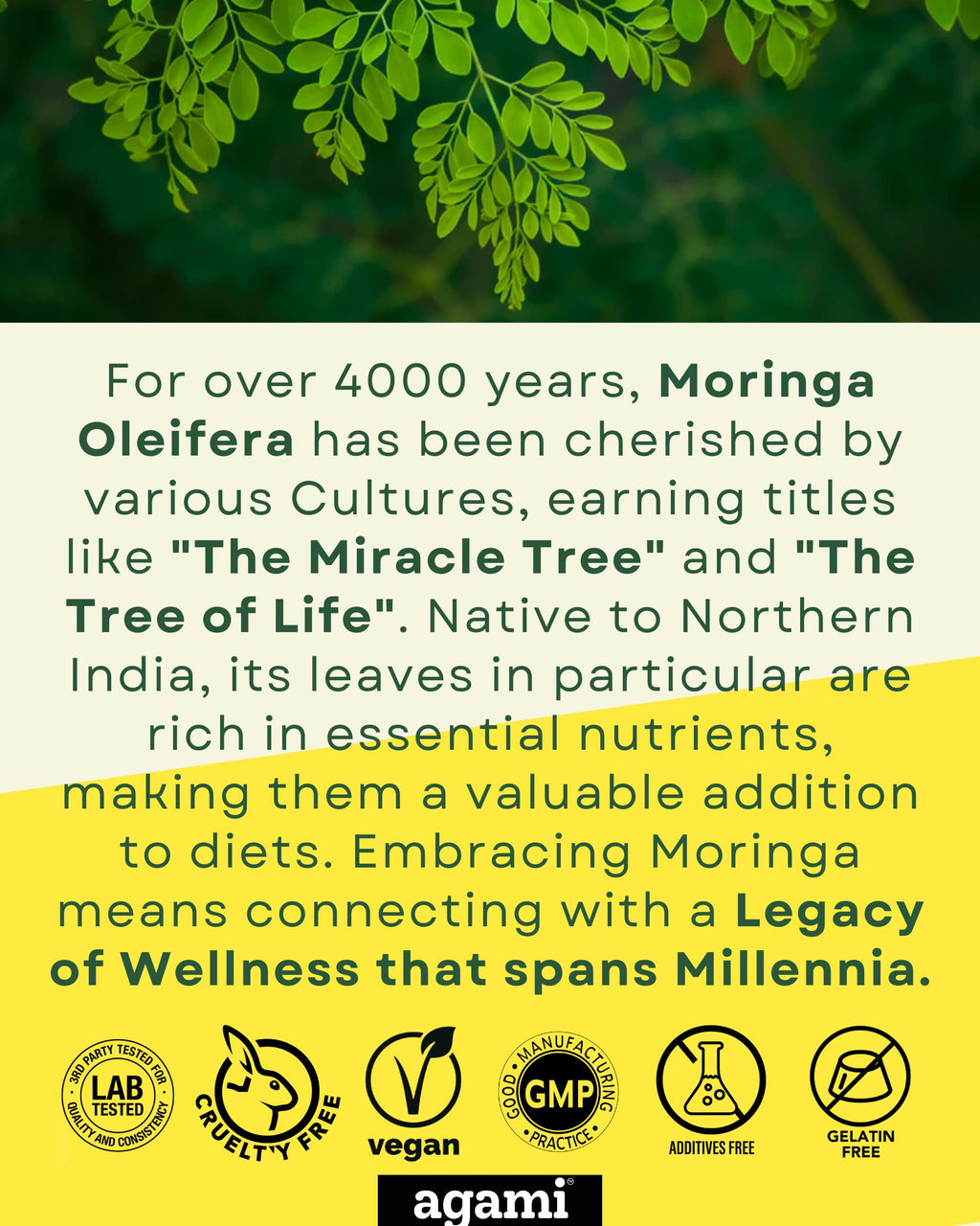 Moringa Capsules 400mg 20:1 Extract 120 Capsules M5554