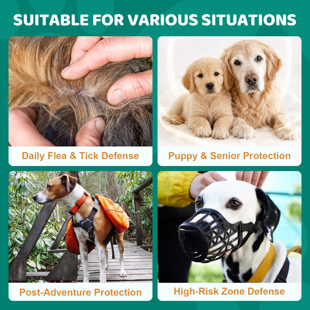 Flea and Tick Chews for Dogs N4763
