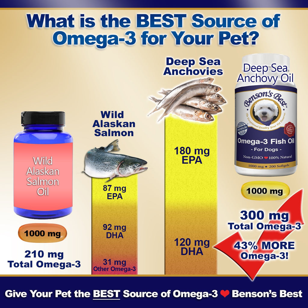 Omega 3 Fish Oil Softgel Capsules 200 Softgels 1000 mg Y88020