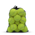 20 Pack Tennis Balls with Mesh Bag J240
