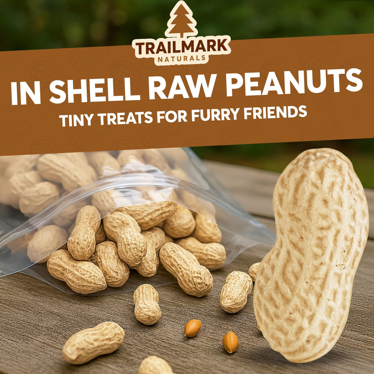25 LB Raw in Shell Peanuts P797