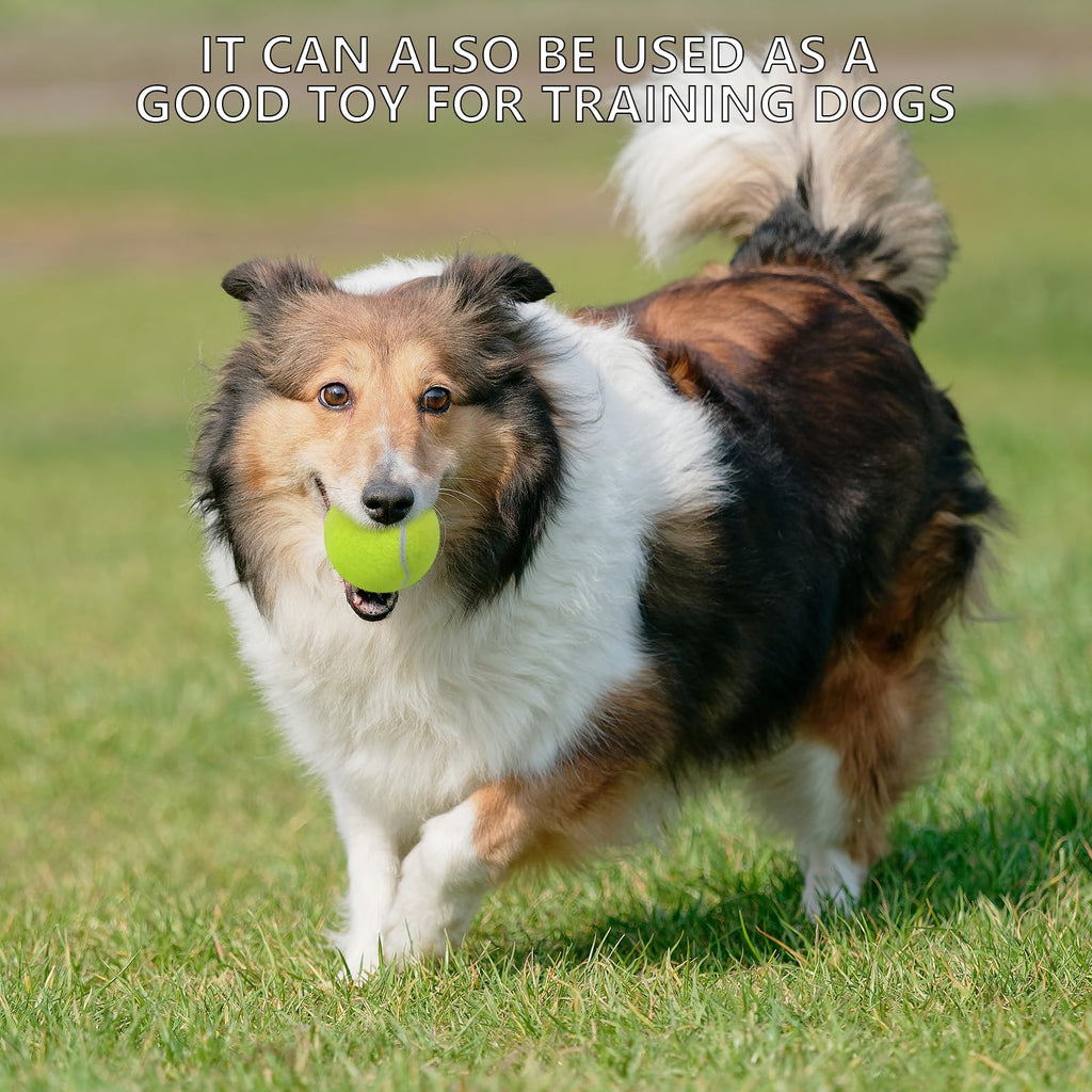 20 Pack Tennis Balls with Mesh Bag J240