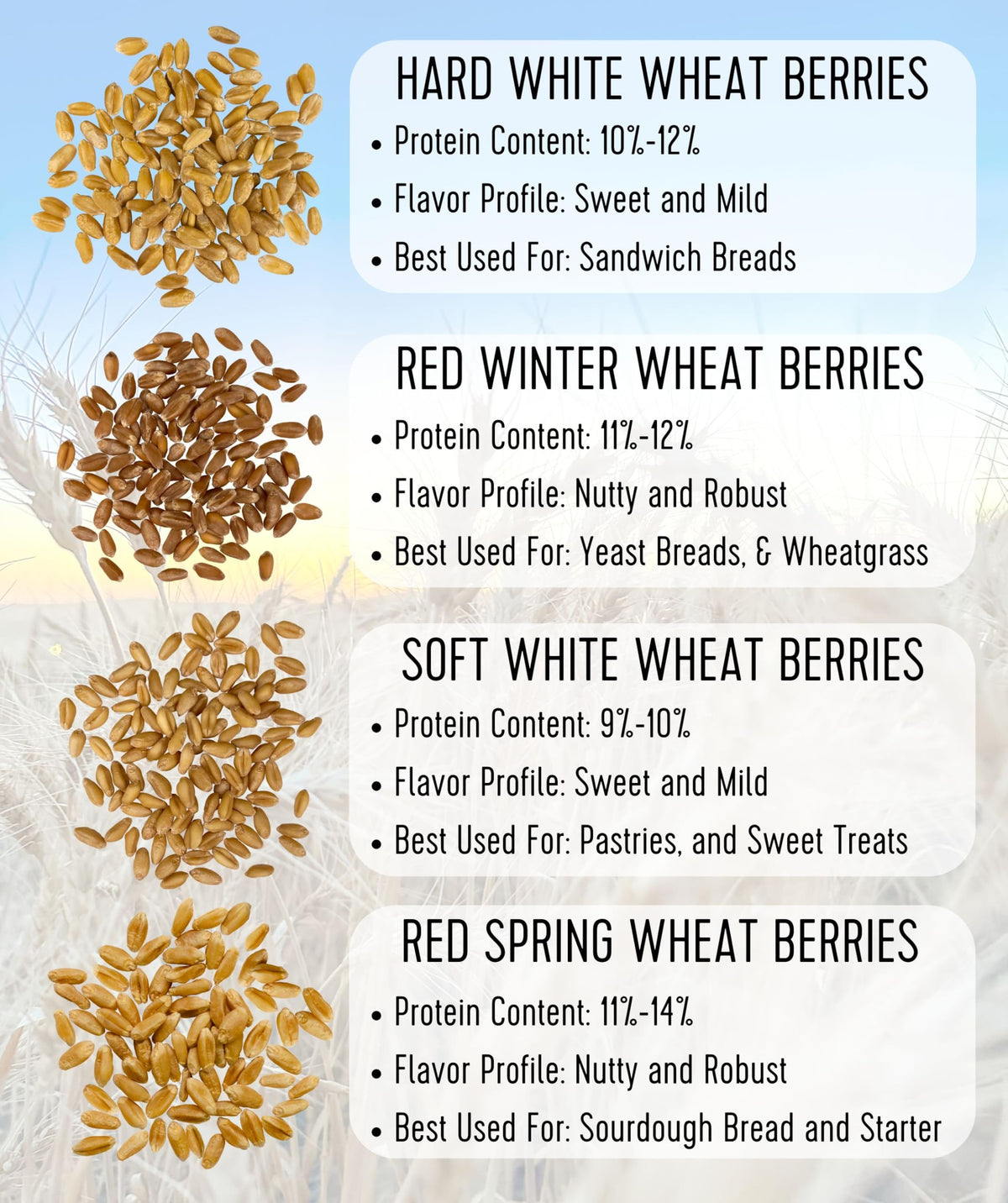 Hard Red Spring Wheat Berries 25 LBS Bag S383