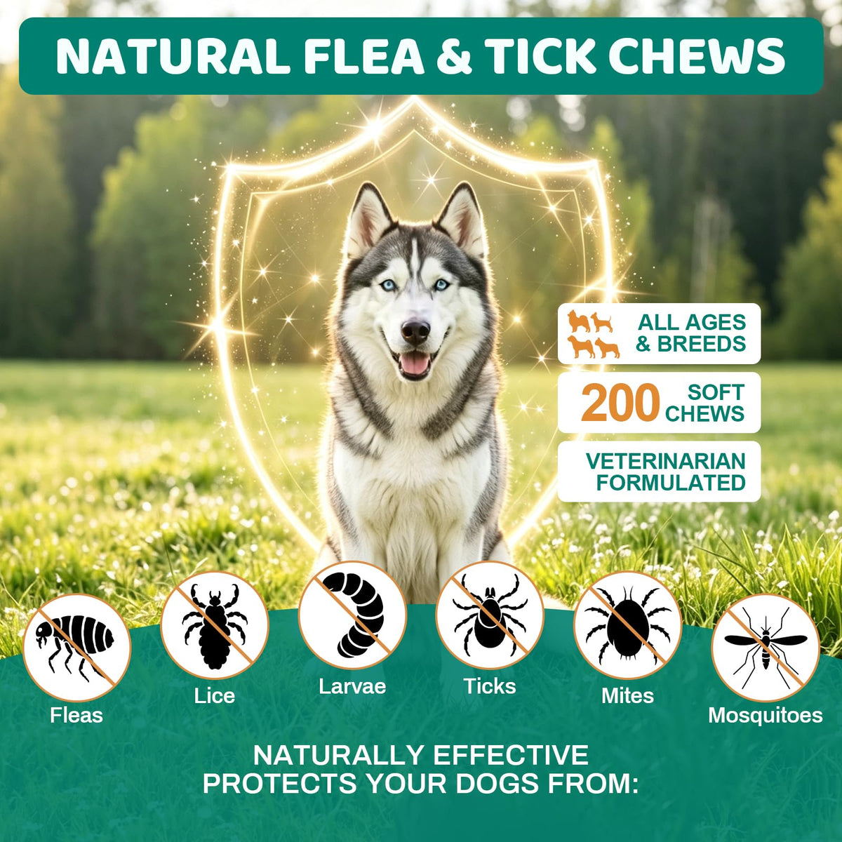 Flea and Tick Chews for Dogs N4763