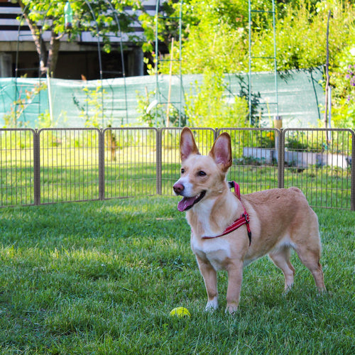 24" H 16 Panels Dog Playpen U813522