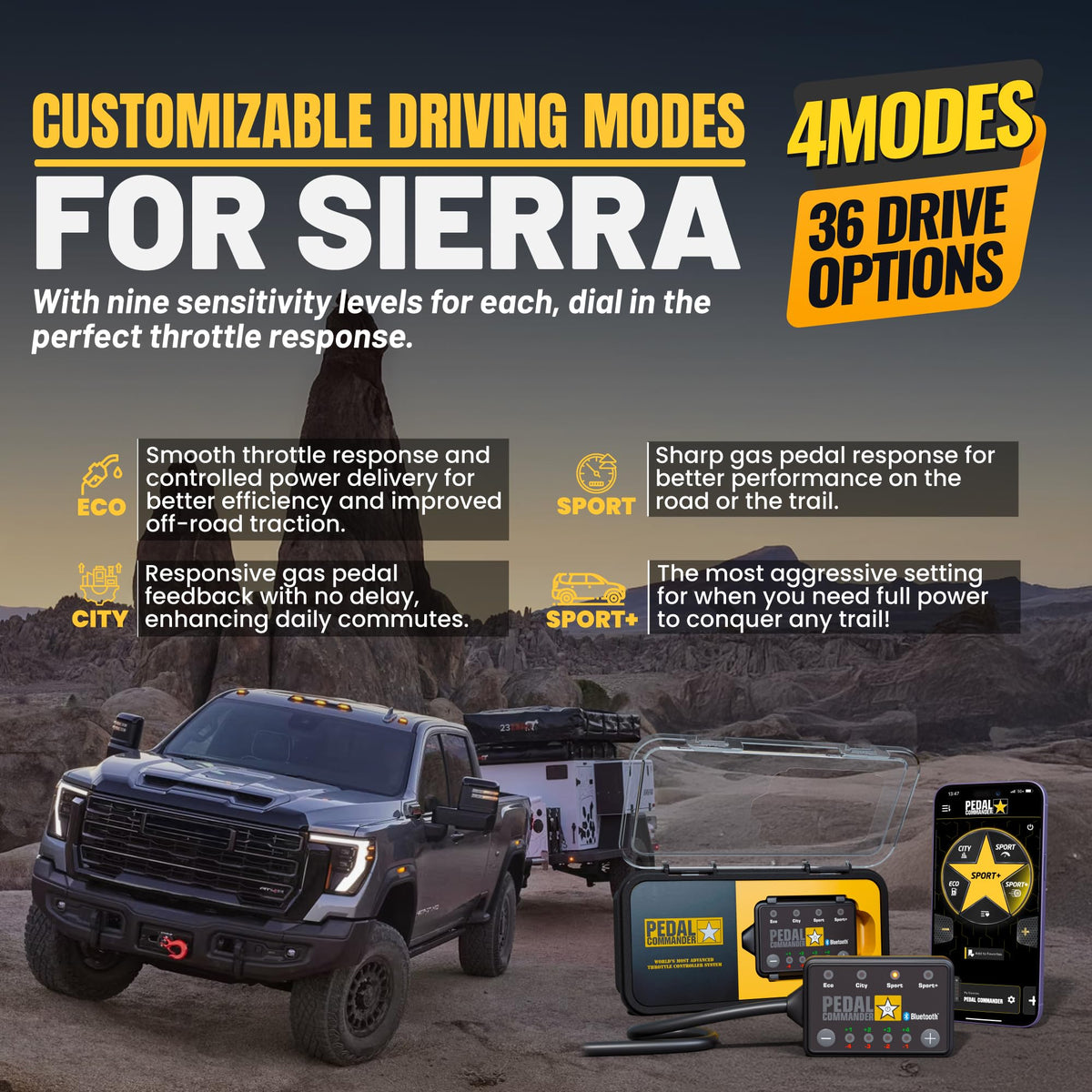 Throttle Controller Q3954