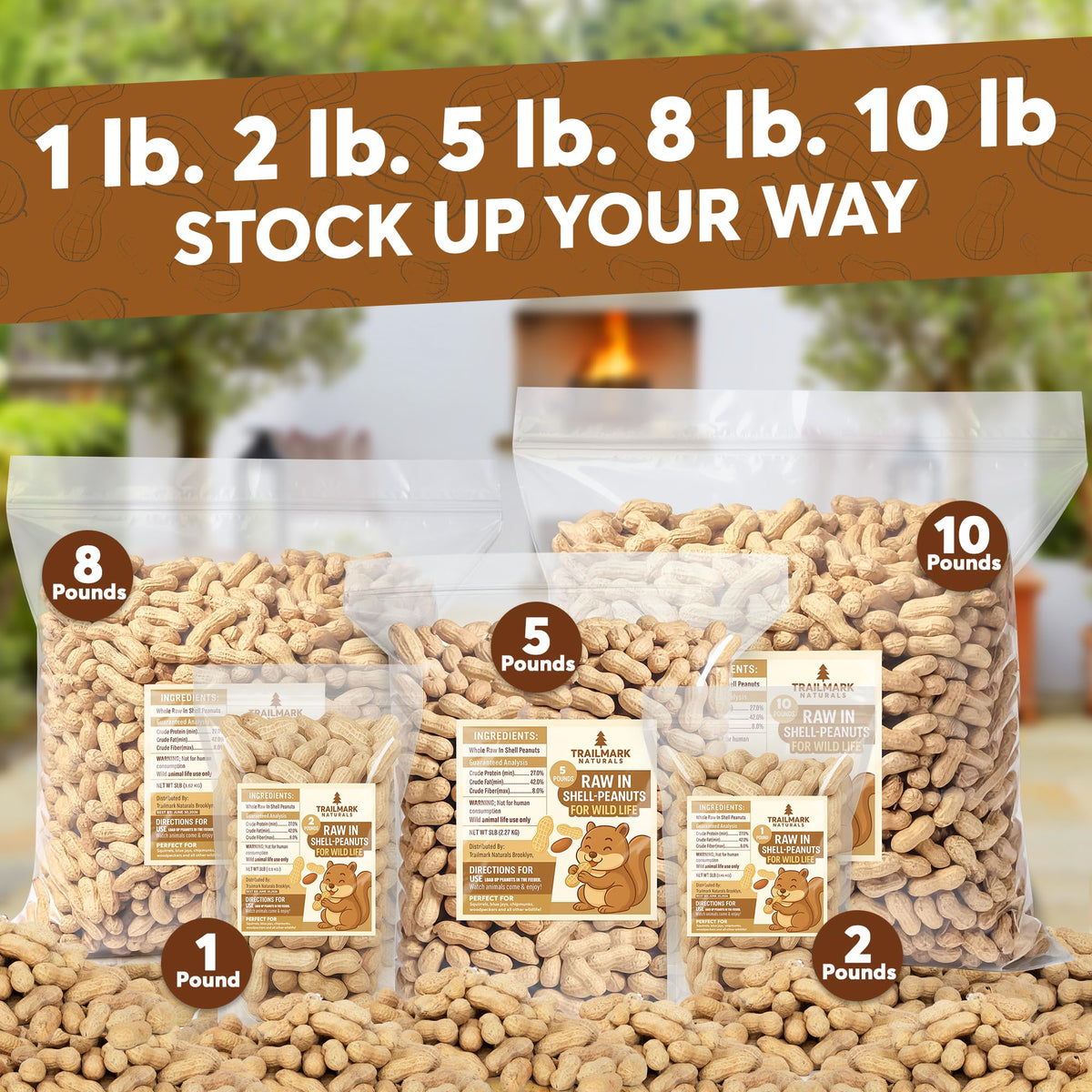 25 LB Raw in Shell Peanuts P797